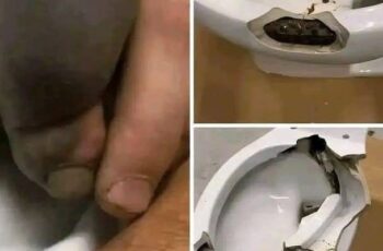 He went to the bathroom without knowing that there was a…See more